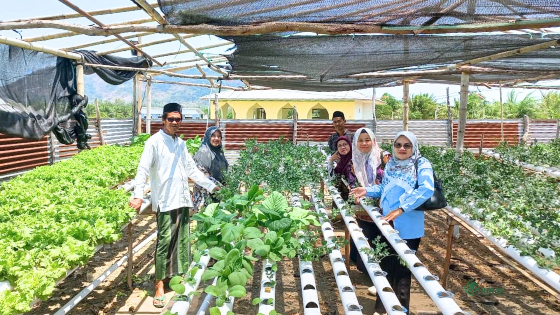 Dampingi Pesantren, Kemenag Belitung Sosialisasikan Program Inovasi Tren Berijo